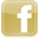 facebook icon 2