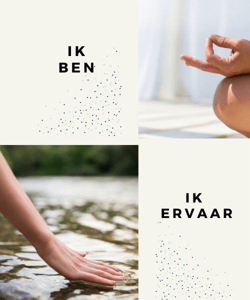 Mindfulness en Meditatie in beweging - Arnhem